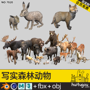 Realistic Forest Animal Model Cinema 4D Wild Boar Bear Blender Elk Rabbit FBX Fox Wolf Brown Bear Model