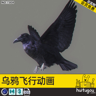 Cinema 4D Crow Bird Binding Animation Flight 3D Model 3DS MAYA CG Modeling Render Model