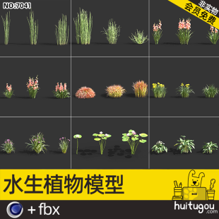 Realistic Aquatic Plant Model Package Cinema 4D Lotus Leaf Narcissus FBX Riverside Water Plant Design Model