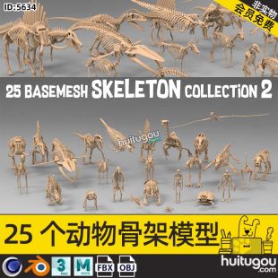 Blender animal skeleton model FBX format basic white model 3D modeling rendering design model