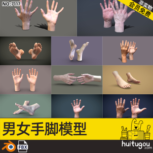 Blender realistic figure hands, feet and limbs 3D model men’s female palm FBX modeling rendering design model