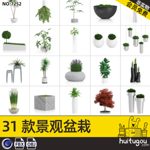 Cinema 4D Landscape Decoration Plant Potting FBX Green Plant Hanging Barrel Lemon Tree Amaranthus Rendering Design 3D Model