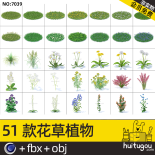 Realistic 3D flowers and plants model Cinema 4D lawn grassland wildflowers weeds FBX format design model model