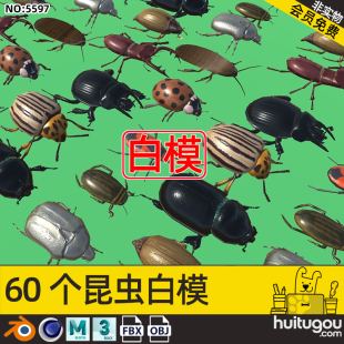 Cinema 4D Beetle Small Animal Flying Insect 3D Model MAYA 3D Modeling Design Model