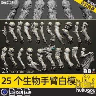 Cinema 4D Creature Character Monster Arm 3D Model FBX White Mold Modeling Engraving ZBrush Model ZTL Model