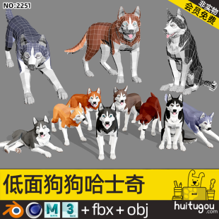 3D cartoon model low polygon style Husky Cinema 4D dog model Erha Blend model format