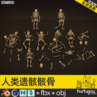 Human remains skeleton Cinema 4D model skull cemetery skull skeleton FBX format 3D model