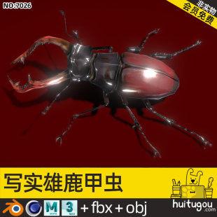 3D antler beetle realistic model Cinema 4D bug Blender animal FBX format design model