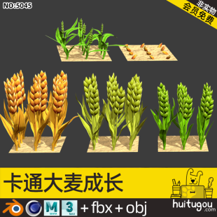 Cartoon Barley Growth Process Blender Wheat Straw Wheat Field Cinema 4D Model FBX 3D Model