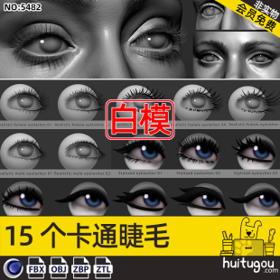 Cinema 4D eyelashes eyebrows 3D model ZBP brush 3D modeling ZB engraving model ZTL format model FBX