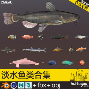 Freshwater Fish Assets Cinema 4D Puffer Catfish Blender Carp Fish FBX Piranha Standard Fish Model