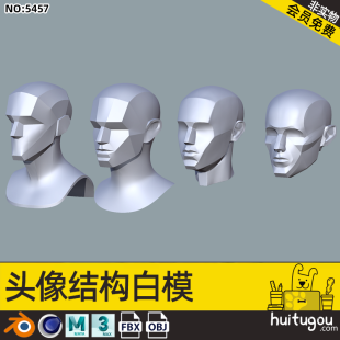 Cinema 4D character head structure Blender head 3D model art human reference light exercise model