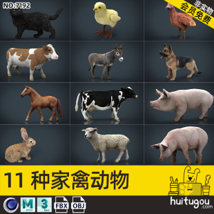 Cinema 4D Poultry Single Model MAYA Fixed Posture Animal Kitten Dog Chicken Cattle Horse Pig Rabbit Sheep Model