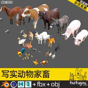 3D static realistic poultry model Cinema 4D cattle horse donkey pig Blender pigeon rabbit dog FBX sheep cat chicken duck goose