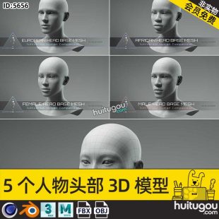 Cinema 4D character avatar basic head 3D model MAYA male and female character head model white model modeling model