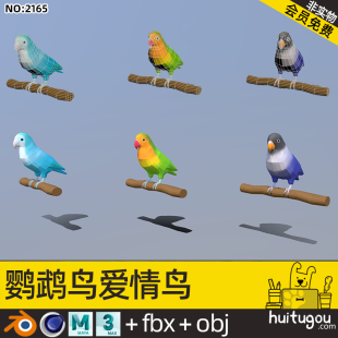 Low Polygon Parrot Birds Blender Love Birds Cinema 4D Cartoon Pet Birds Model FBX