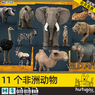 Realistic PBR African animal 3D model elephant antelope buffalo lion ostrich zebra lion rhinoceros model