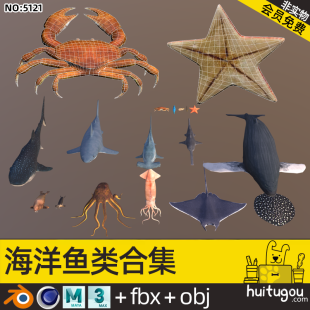 Marine Animals Cinema 4D Model Blend Shark Whale Crab Hippocampus Starfish Sea Elephant Seal Octopus Squid mb