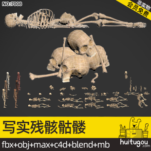 Low Polygon human skeleton remains collection Blend remains skeleton skeleton Cinema 4D FBX MAYA 3D model