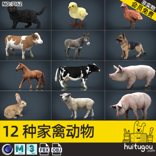 PBR Realistic Poultry Model Cinema 4D Animal Cat Chicken Ox Donkey Dog Horse Pig Rabbit MAYA Modeling Rendering FBX Model