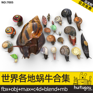 Realism PBR Snail Collection Blender Wild Small Animal Cinema 4D FBX MAYA Model