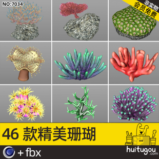 46 realistic submarine corals Cinema 4D models seaweed sea bamboo shoots marine life with FBX format 3D models